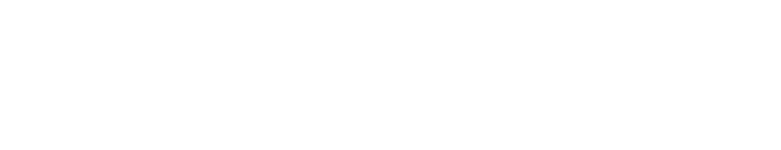 Partner logo 2